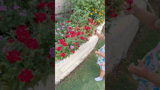 Spring Garden 2025 🪴 🪏 #gardening #houstontx #springvibes