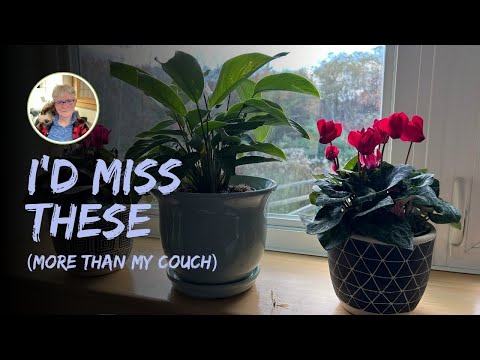 8 Little Things I Use and Love Every Day (that don't cost much)