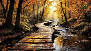 (No Ads) Beautiful Relaxing Music 🍁 Autumn Melodies for Stress Relief & Healing