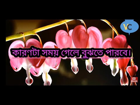 আমি বাঁচবো কি করে , দুঃখ দিলেই বুঝতে পারবে। কোন সমস্যা নাই আমার জীবনে কেন