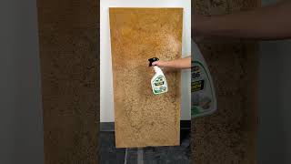 How to destroy mold in 15 seconds 👀#rmr #rmrsolutions #mold #moldremoval #moldremediation