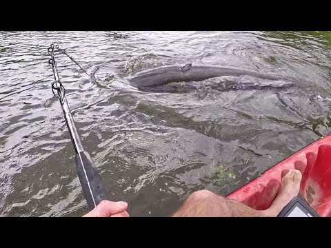 SILURE APRÈS LA TEMPÊTE ! RIVERSIDE #7