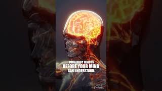 Why You Overreact It’s Your Nervous System, Not You