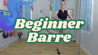BEGINNER BALLET BARRE | Learn Proper Technique | Adult Ballet at Home