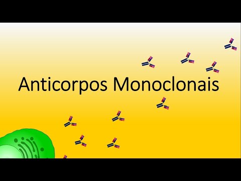 Anticorpo Monoclonal