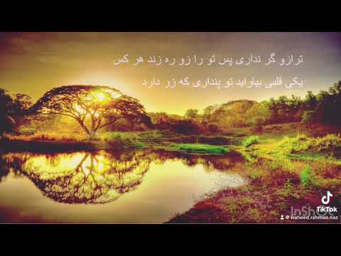#دکلمه #شعر #دلنوشت #poetry #عاشقانه #مولانا #حافظ #afganistan
