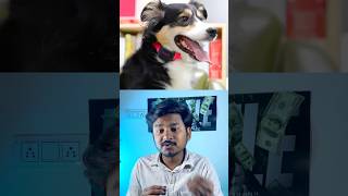 Now You Can Talk With Your pet !!  #unveilingtech #tech #techshorts #shortsvideo #techgadgets