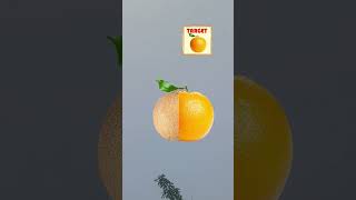 #phonk #music #song #effectking #votingpower