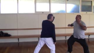 Fluid Combat   basic striking strategy