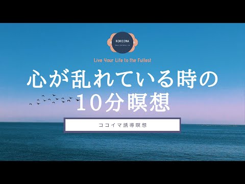 【10分】10分間瞑想｜ココイマ｜誘導瞑想