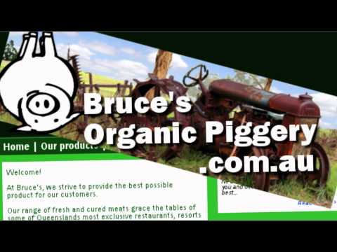 eAssessment - Visual Evidence (photo and video) - QVDC