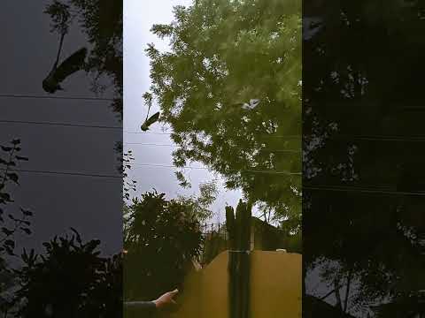 Musafir hu yaaroo....