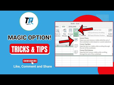 Magic Option@TechPro-2024