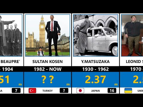 The World's Tallest People in History | Hight Comparison