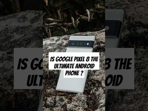 Google Pixel 8 Pro: The Best Camera Experience