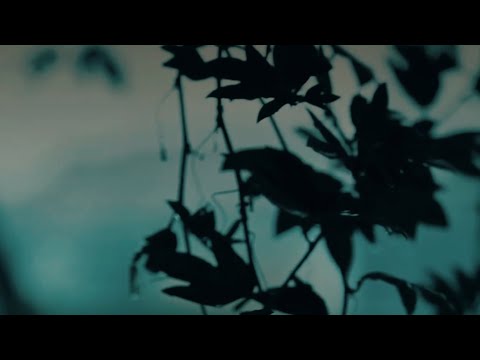 Krexx Nv - These & More (Lyrics Visualizer)