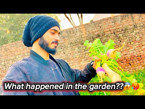 Garden Main Kam Kia To kia Hoa??😱😰|| kia Tour Confirm Ho Gia🤔