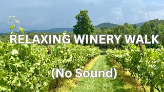 Relaxing Wintery Walking Tour / No Sound / Full HD / Silent Background Imagery