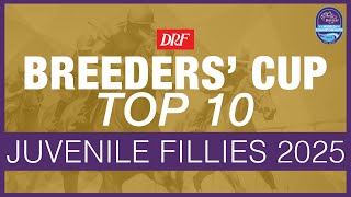 Breeders' Cup Focus | Juvenile Fillies 2025
