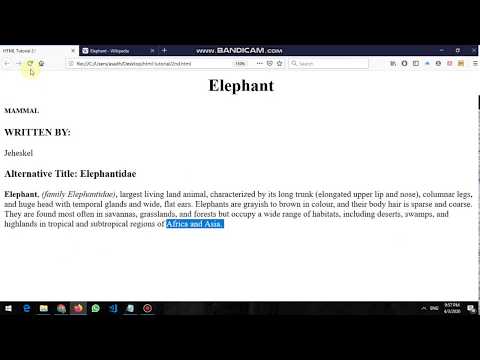 HTML tutorial for beginners 2 :  working with text HTML Tags
