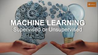 Art and Science in the Programmable Age