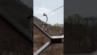 Maihar Devi🙏# lift najara#short#matarani short#youtubervideo