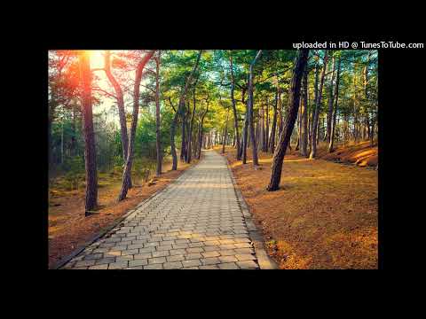 Relaxing Jazz - Calming Classic Jazz Music #jazz