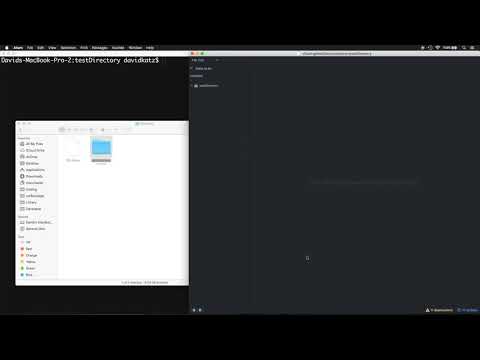Lesson #3 - Installing React JS & Redux - Notes on Node & NPM - Installing a Code Editor