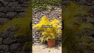 Pets in DANGER! Hidden Plant Threats You Need to Know!