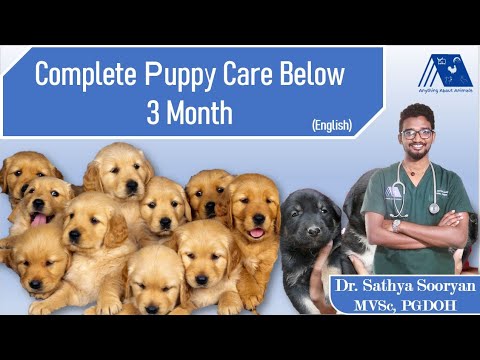 Puppy Care below 3 Months, Complete guide (English) | Puppy Vaccination, Deworming, Feeding, Biting