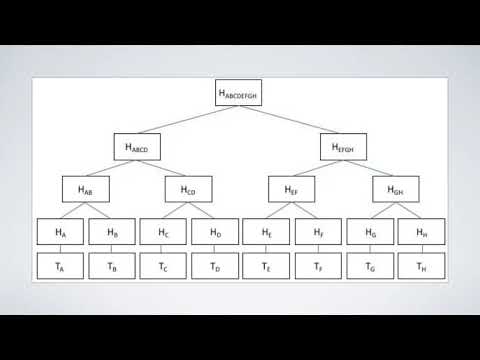 Basic Building Blocks of Blockchain Technology - A Webinar by Gokul Alex