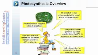Rapid Learning:  Photosynthesis - What is Photosynthesis?