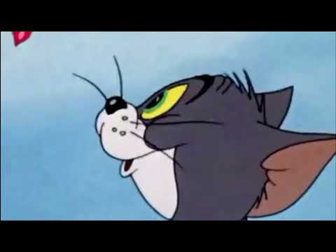 Tom And Jerry Hindi Cartoon Video || Tom And Jerry Full Episode #cartoonanimated