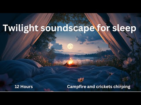 Twilight Soundscape for Deep Sleep | 12 Hours | Campfire and crickets chirping