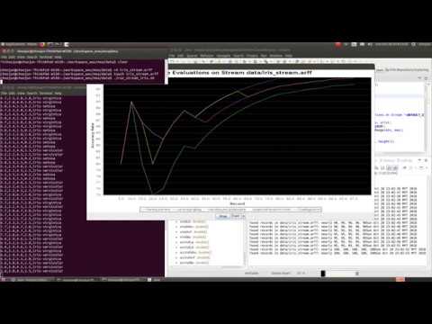 Iris with online and offline classifiers
