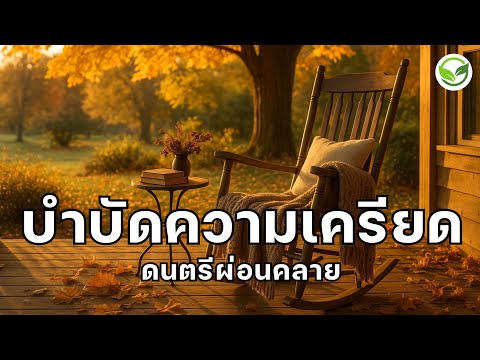 ดนตรีช่วยบำบัดความเครียด ฟังแล้วสบายหัว สบายใจ รู้สึกดีขึ้น ดนตรีผ่อนคลาย relaxing music ,calm music