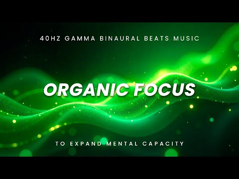 ORGANIC FOCUS MODE | 40Hz Binaural Music for Brain Power and Memory Boost