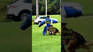 Good Luck on Final Exams Week 🙏 #finalexams2024 #finalexams #finalsweek #collegelife