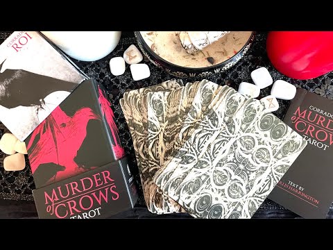 A New Fave Tarot Deck: A Murder of Crows Tarot Chat