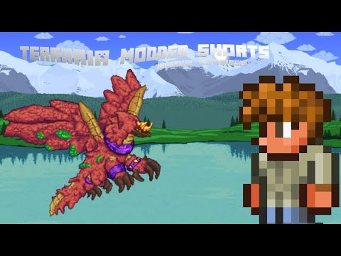 Terraria Modded Shorts: "Infernal Catharsis"