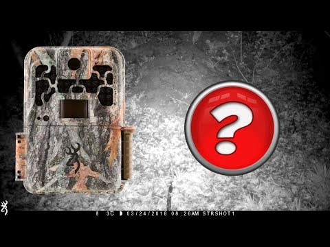 BROWNING RECON FORCE TRAIL CAMERA TEST WITH UNEXPECTED NIGHT GUEST