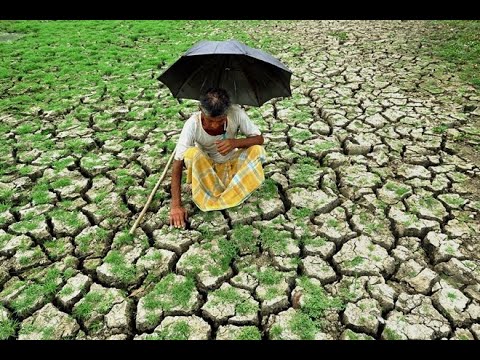 Root Causes of Farm Distress