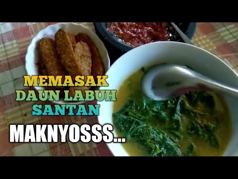 MENU SPESIAL || DAUN LABUH MAKNYOSSS.....#Masakan Istimewa #Sayursedap #Mukbang