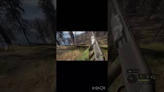 Aggressive wolf verses 12 gauge buckshot
