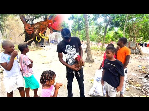 Epic rooster hunt with the kids in the village