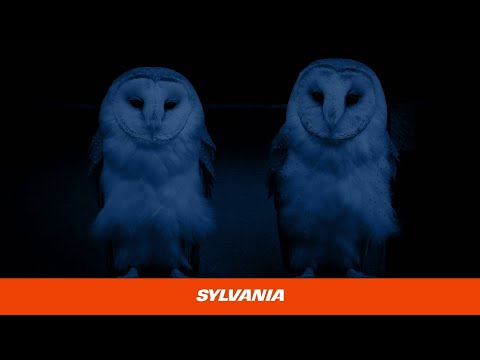 SYLVANIA:  NEW Offroad LED Lightbars and Pods from Sylvania