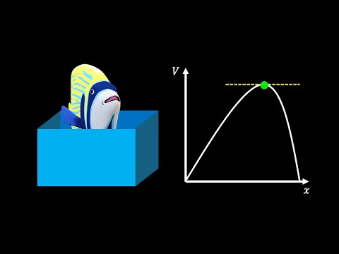Differentiation: Optimising a Fish Tank