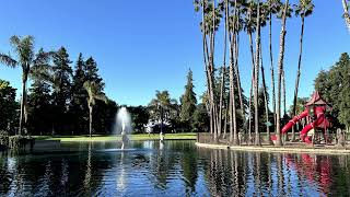 Summer in Sunnyvale