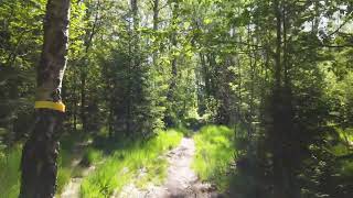 What is the future of software development?