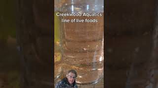 Creekwood Aquatics brings you nothing but the best! #daphina #rotifers #phytoplankton#livefishfood